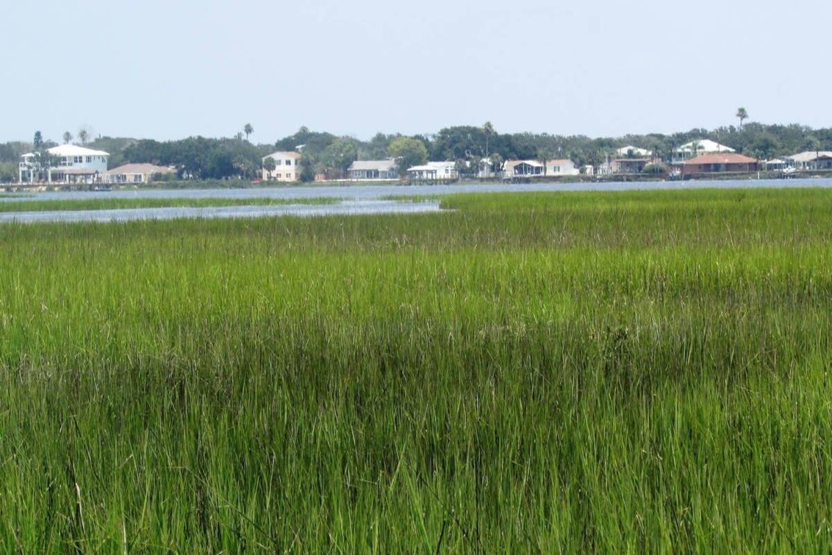 Canal Home Dock Walk To Beach Kayaks Sup Fishing St. Augustine Exteriér fotografie